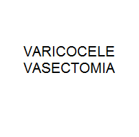 VARICOCELE_E_VASECTOMIA.png